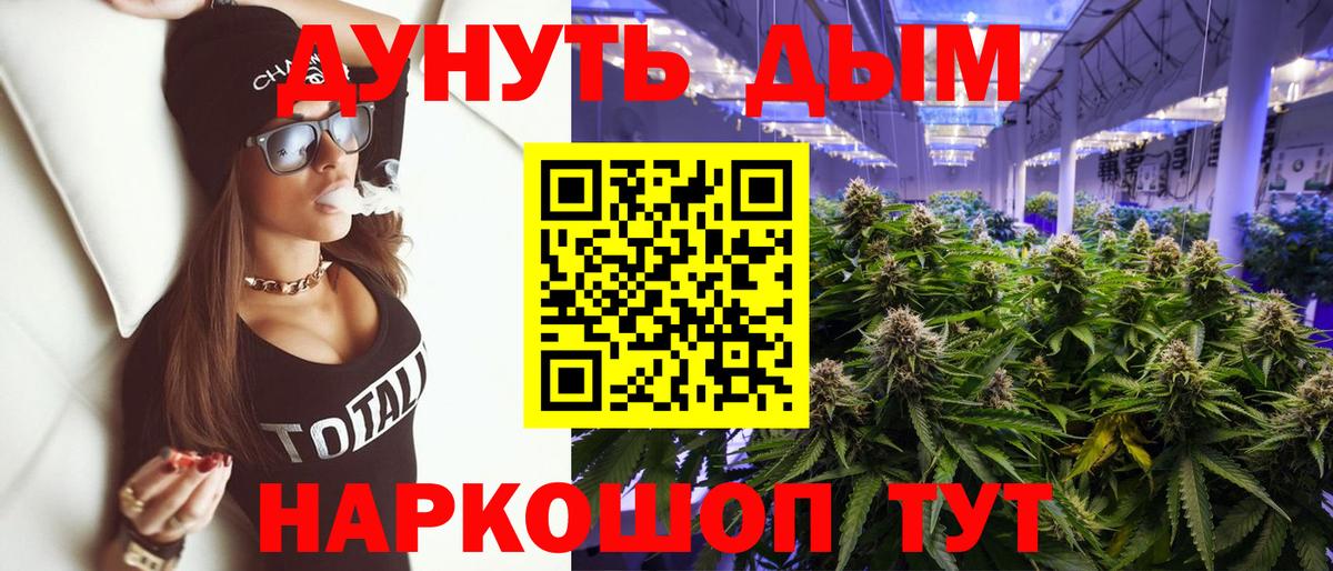 Людиново  Бошки Шишки сатива  Каннабис Amnesia  Вход с VPN 